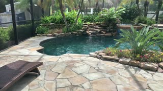 Backyard oasis