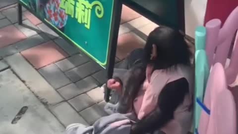 Gorilla and tiger baby friendship