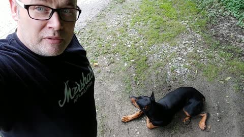 Living with a Doberman Pinscher