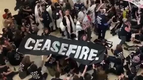 Large group of anti-israel protesters have taken over inside US Capitol rotunda