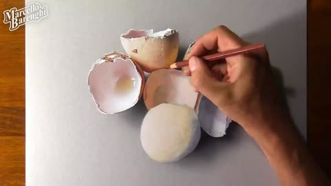 Describe The Shape Of The Egg In The Eggshell