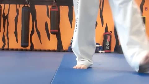 Tong Hap Kwan Hapkido Kicking Techniques