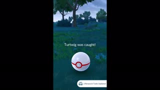 Pokémon GO-Shadow Turtwig