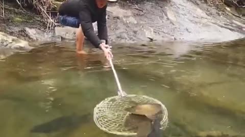 Amazing Asian Rural Fishing 🐟