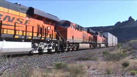 NS Chicago Line and South Shore Trains in Ogden Dunes, IN