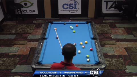 Shane Van Boening vs Skyler Woodward ▸ 2014 US Bar Table 8-Ball Championship