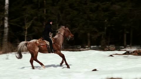 female cowboy rides a horse at a gallop in winter