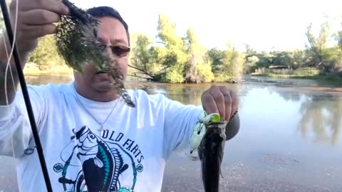 Old Farts Fishing - Bass Fishing a Topwater Frog