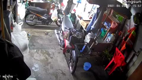 Oblivious Man Steps on Sneaky Snake in Garage