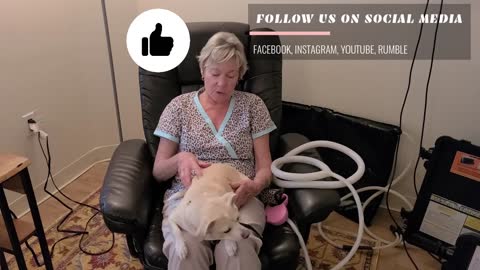 Luxating Patella & ACL Tear Healed, Dog Supplement & PEMF Testimonial