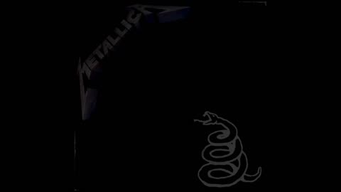 Metallica - The Struggle Within