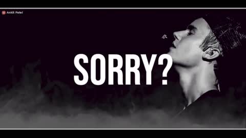 justin biber sorry song