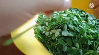 MORINGA /MALUNGGAY LEAVES