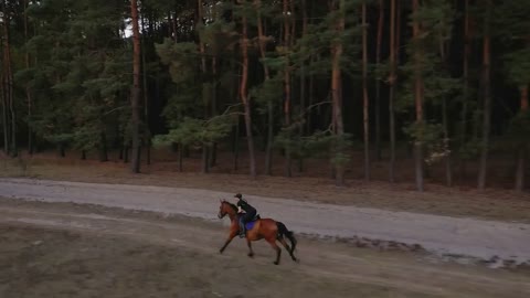 View from the height of woman riding a brown horse by gallop outdoors