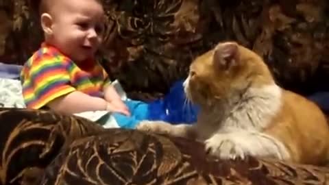 Cat Tells Baby “It’s Time For You to Sleep!”