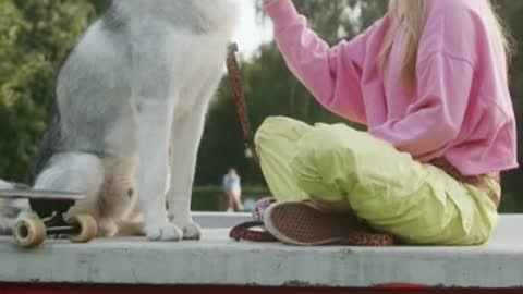 The dogs playing with his owner