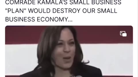 Commie Kamala's small business plan