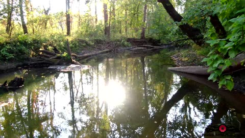 Relaxing Flight Up Creek As Sun Sets Amazing Sounds From Nature 4K Drone Footage