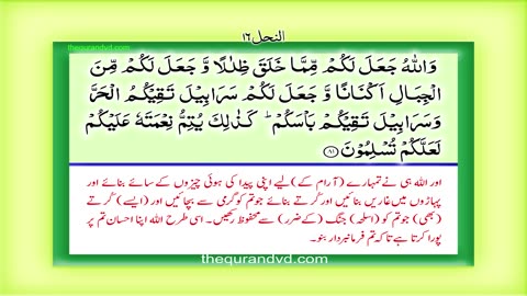 Holy Quran - Para 14 - Juz 14 Rubama HD Quran Urdu Hindi Translation