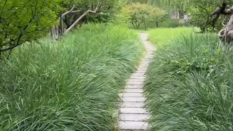 The road is lined with trees