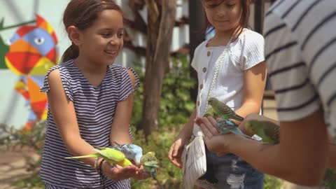 # A Girls Feeding Birds on Their Palms