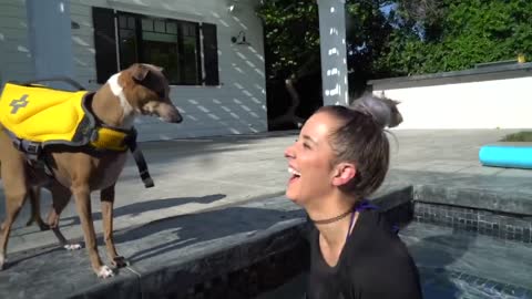 Training Dog to swim