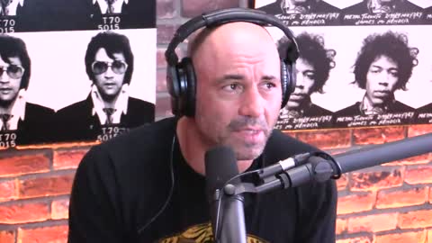 Joe Rogan Experience #980 - Chris D'Elia