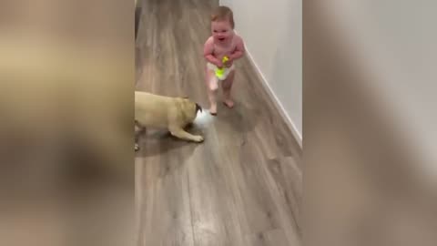 Cats and babies,dogs and babies CUTE MOMMENTS 🤣🤣