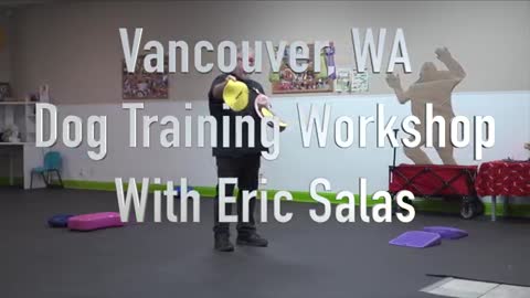 Training your show dog with Eric Salas