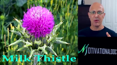 Milk Thistle, liver detox foods, smoothies -Logically, this should cleanse IVM-Drs. Sung,Berg,Mandel