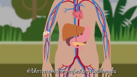 Diabetes Basic Physiology -Thai language-