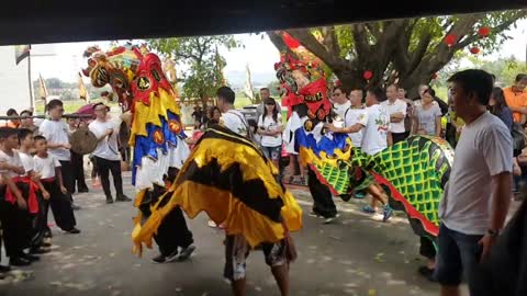 Lion Dance Perfromance 茶果嶺天勝堂