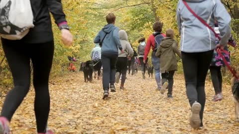 People run jogging with Dogs on a Leash in Autumn Park