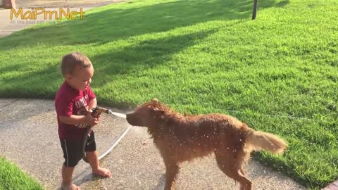 Best Friend Dog And Baby Take A Bath Funny Time Together