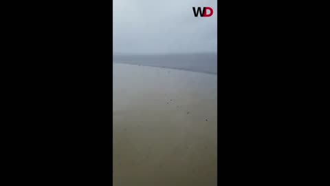 Florida's Charlotte Harbor Ocean Disappears