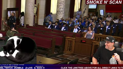 LIVE IN CHAMBERS LA CITY COUNCIL MADNESS