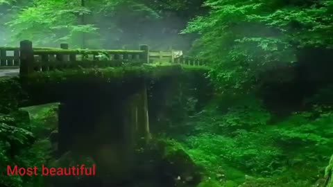 MOST BEAUTIFUL NATURE WITH RELAXING MUSIC