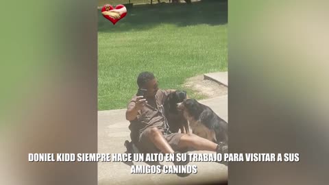 ¿Será este, el mensajero más querido por los perros?