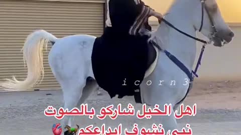 hors arab