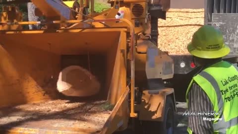 Extreme Fast Wood Chipper Machine Modern Technology - Amazing Wood Processor Big Tree Shredder Easy