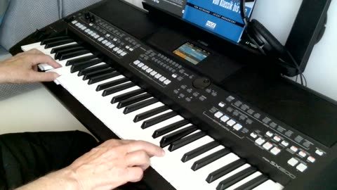 Die Fischer von San Juan (Andy Borg) cover by Henry, Yamaha PSR SX600))