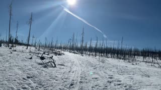 Snowy Wilderness Exploring – Deschutes National Forest – Central Oregon – 4K