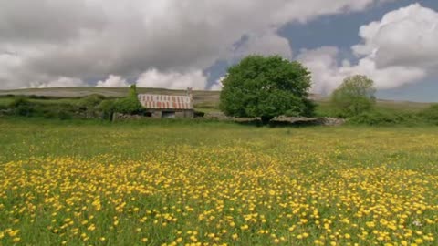 BBC Natural World - Ireland, Sculpted Isle - Full Documentary