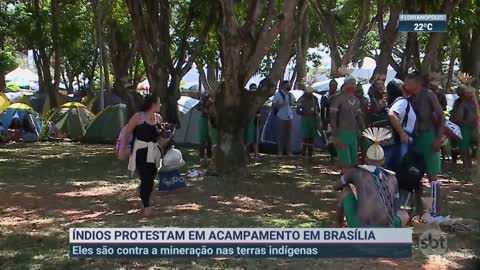 Índios montam acampamento para protestar em Brasília | SBT Brasil (04/04/22)