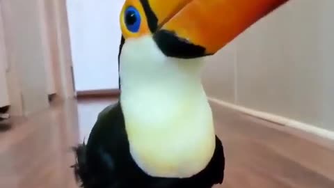 Cute birds #7