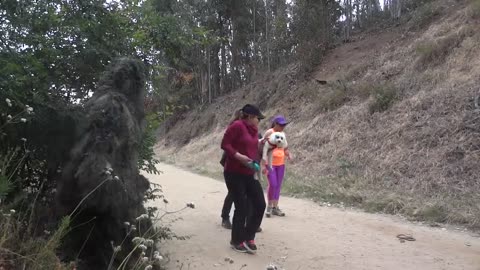 Bushman prank video.....