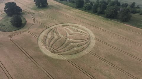 May - June Crop Circle Compilation