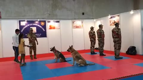 Cisf Army dog 🐕 training full information