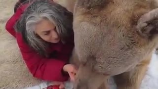 Big Boy enjoying some strawberries