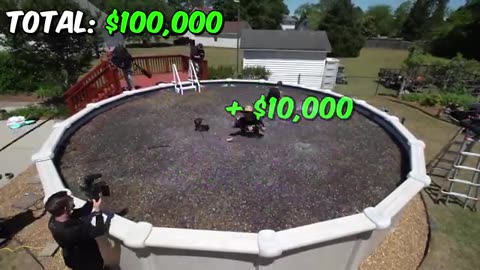 If You Can Carry $1,000,000, You Keep It! #MrBeast